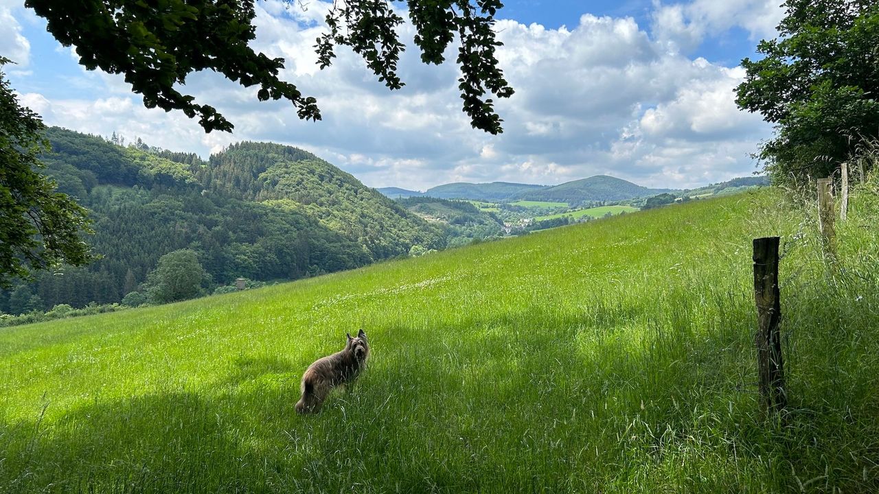 Landschaft Landschaft